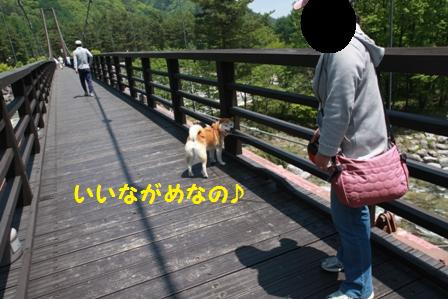 いいながめ
