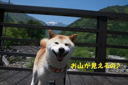 駒ケ岳