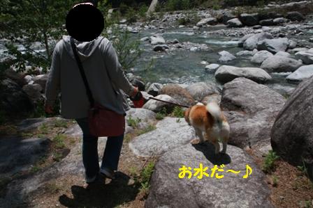 お水