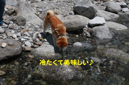 美味しい