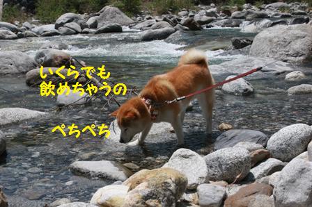 いくらでも