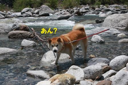 あん?