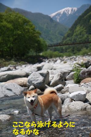 泳げるかな?