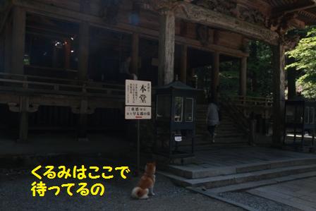 待ってるの
