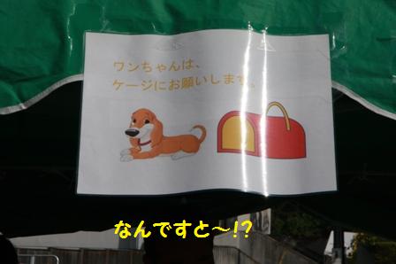 え~!?