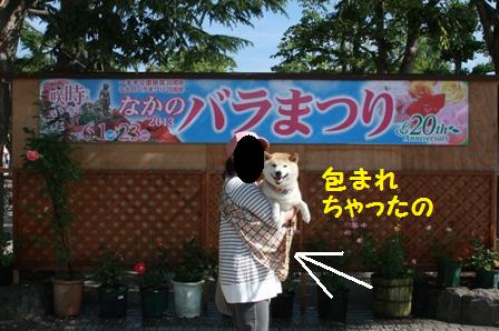 包まれた