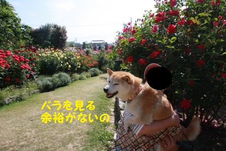 余裕なし