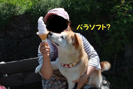 バラソフト