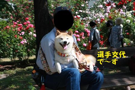 交代