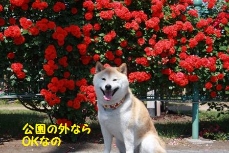 外