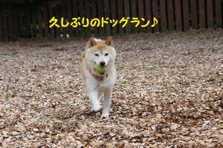 久しぶり