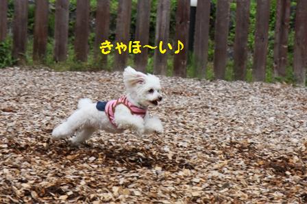 みかんちゃん