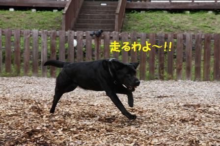 ナナちゃん