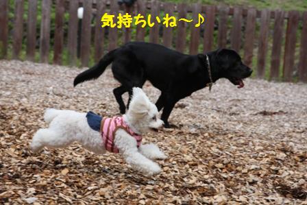 気持ちいいね