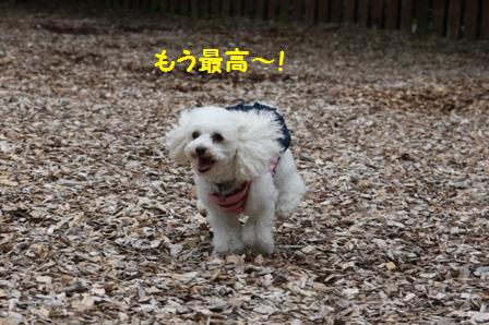 最高