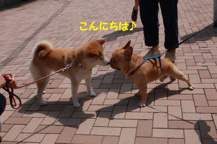 ごあいさつ