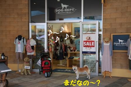 まだ?