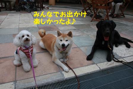 楽しかった