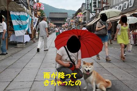 雨