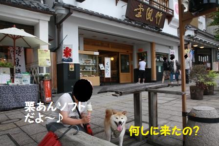 栗ソフト