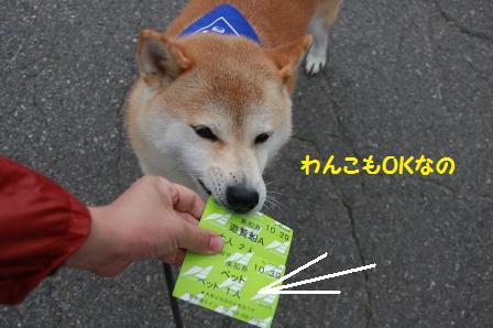 わんこOK