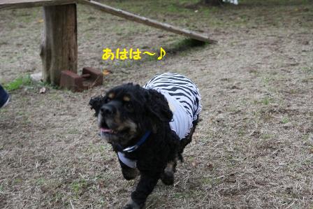 あはは