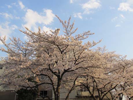 01_20120409210234.jpg