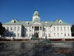 DSC01271.jpg