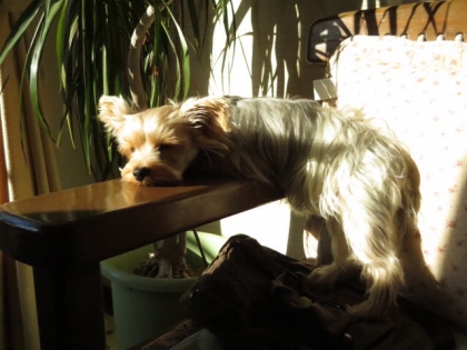 20131127222151563.jpg