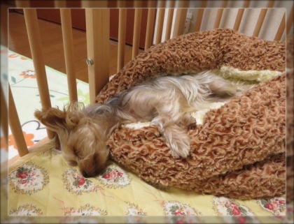 20131130211600639.jpg