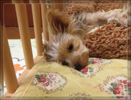 20131130211601df2.jpg