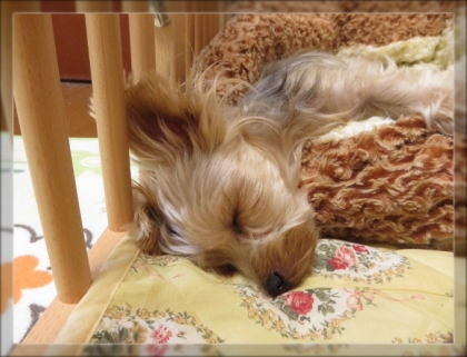 20131130211603515.jpg