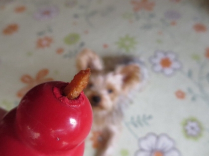 20131204160101c59.jpg