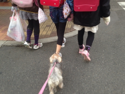20131209205106a79.jpg