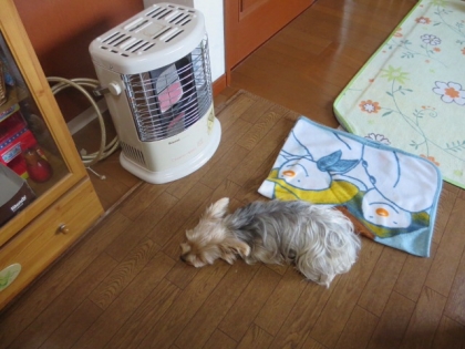 201312112147260d3.jpg