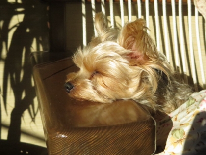 201312132152185aa.jpg