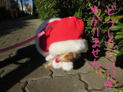 20131215154749c63.jpg