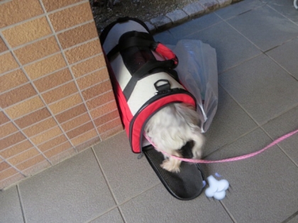 20131215154750861.jpg