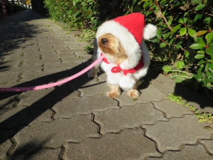 20131215154850a49.jpg