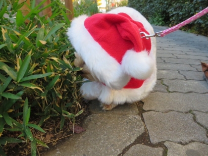 20131215155120557.jpg