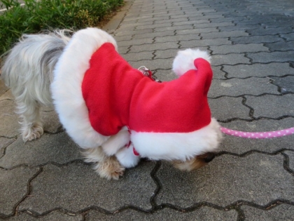 20131215155121032.jpg