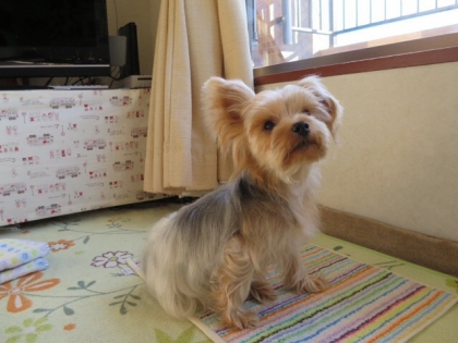 2013121615505821f.jpg
