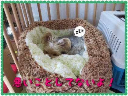 20131220204346d9c.jpg
