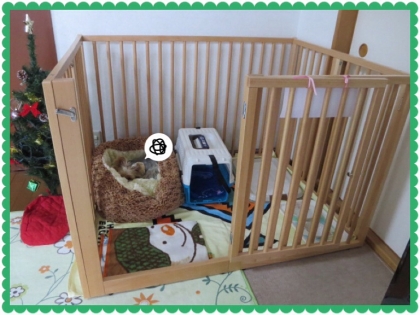 201312202043490b4.jpg