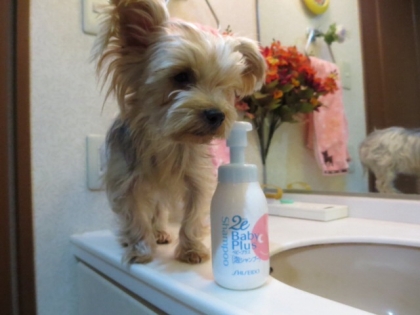 2013122121355520c.jpg