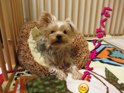 2013122121355970f.jpg