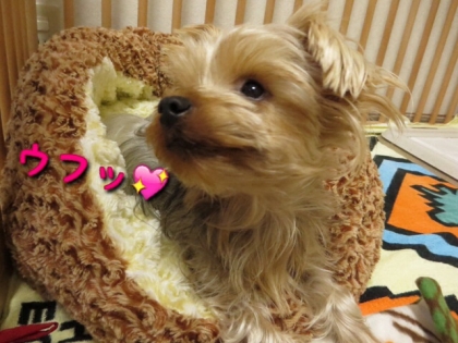 20131221213601e47.jpg
