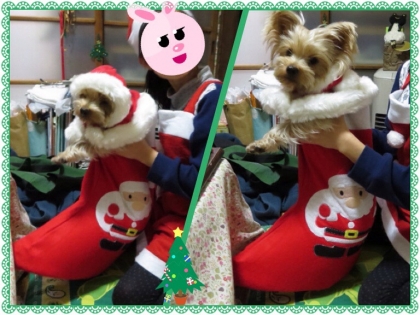 201312242105163fd.jpg