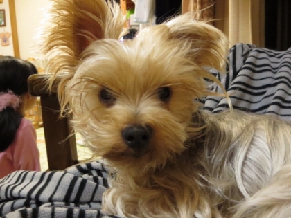 201312261946407bb.jpg