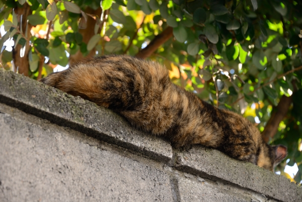 DSC_1458.jpg